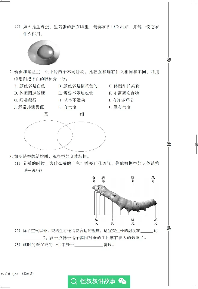 《木头马分层课课练》22科学3年级下册（教科版）_三年级上下册资料_小学三年级学习资料-25年更新版_3-10、小学三年级科学下册_教科版_电子册类