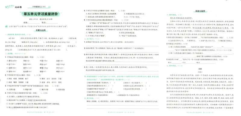 25秋《黄冈小状元达标卷》6年级上册语文_25秋小学语数英习题试卷_语文_25秋《黄冈小状元达标卷》1-6年级上册语文(1)
