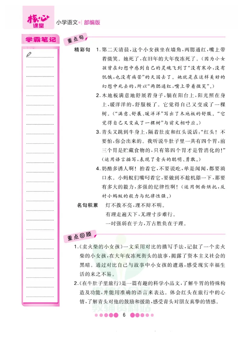 三年级上册语文部编版考点过关_三年级上下册资料_三年级上语数英上下册学习资料_3-8-1、小学三年级语文上册_统编、部编、人教（语文全国统一只有一个版）_6、专项练习