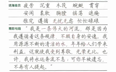 三年级下册寒假笔记摘抄_三年级上下册资料_三年级下册小红书同款资料_三下语文