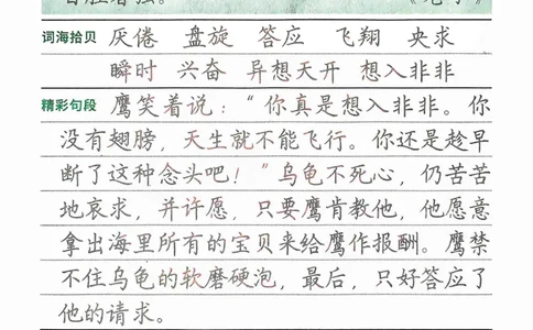 三年级下册寒假笔记摘抄_三年级上下册资料_三年级下册小红书同款资料_三下语文