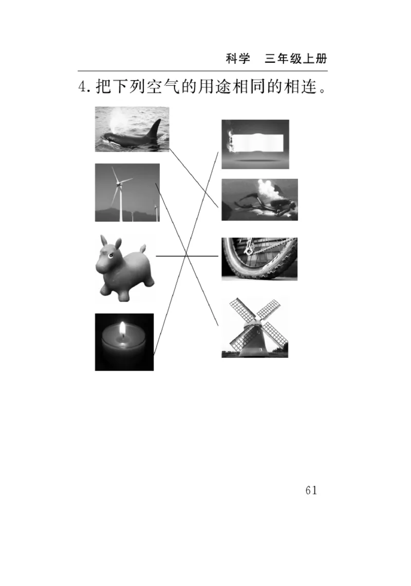 《速记速查》科学3年级上册（教科版）_三年级上下册资料_小学三年级学习资料-25年更新版_3-09、小学三年级科学上册_教科版_电子册类