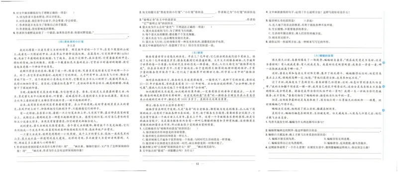 《阳光同学期末复习卷》（6上）_25秋小学语数英习题试卷_语文_语文阳光同学期末复习卷