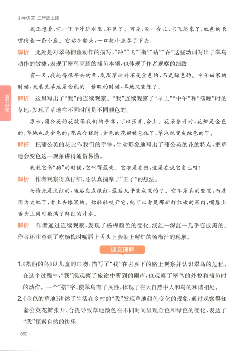 2025秋一本课后小练习语文3上_25秋小学语数英习题试卷_语文_一本《小学语文课后小练习》25秋