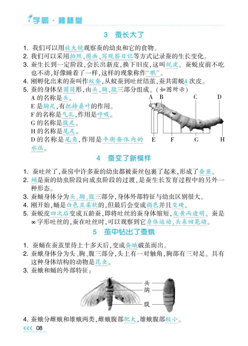 《棒棒堂》22春科学3年级下册（教科版）_三年级上下册资料_小学三年级学习资料-25年更新版_3-10、小学三年级科学下册_教科版_电子册类
