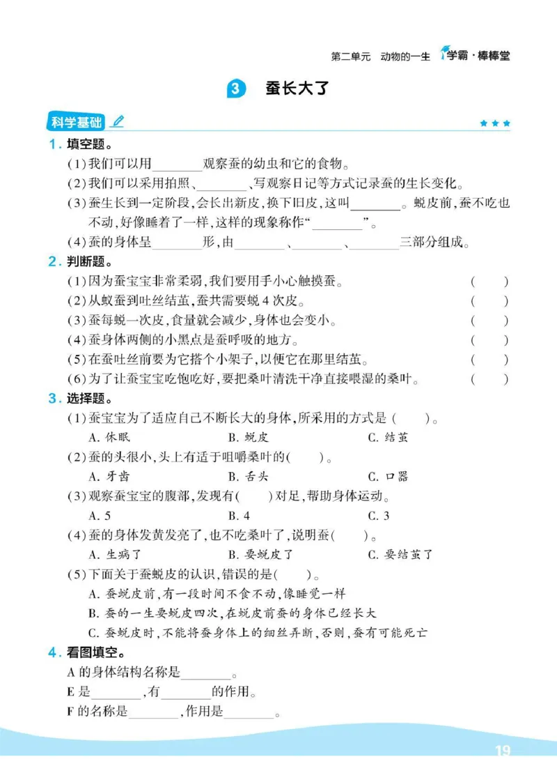 《棒棒堂》22春科学3年级下册（教科版）_三年级上下册资料_小学三年级学习资料-25年更新版_3-10、小学三年级科学下册_教科版_电子册类