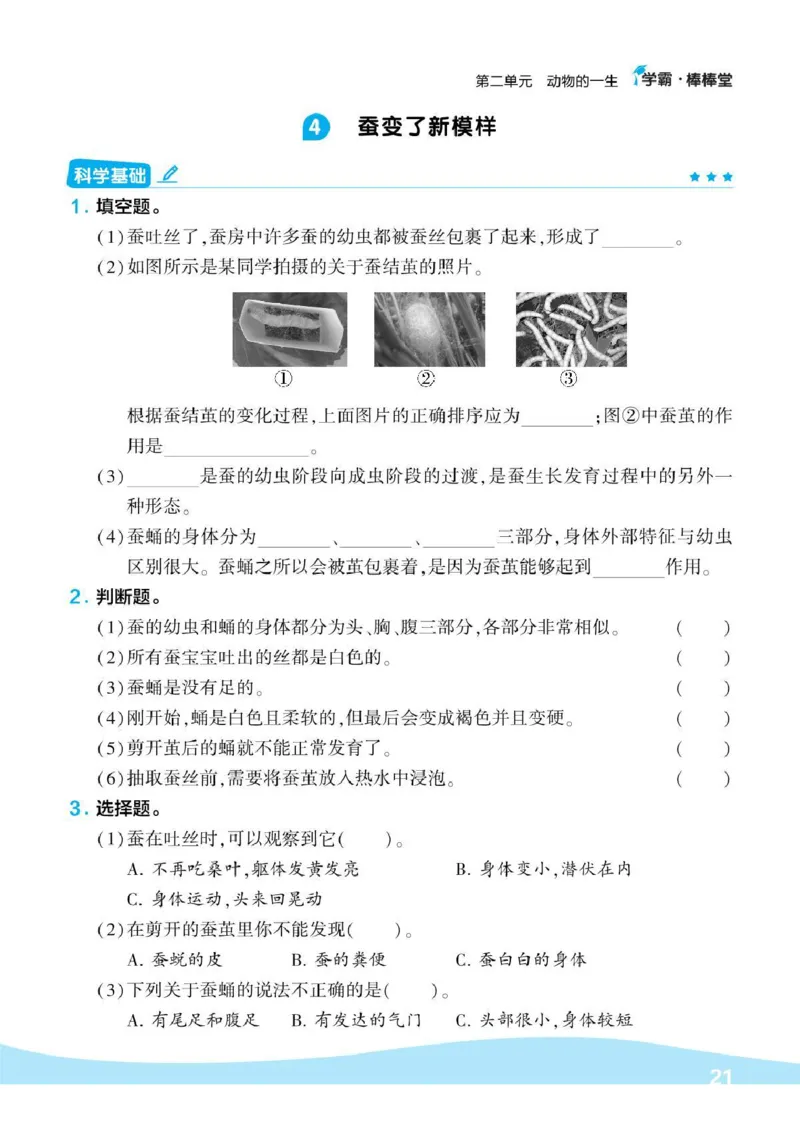 《棒棒堂》22春科学3年级下册（教科版）_三年级上下册资料_小学三年级学习资料-25年更新版_3-10、小学三年级科学下册_教科版_电子册类