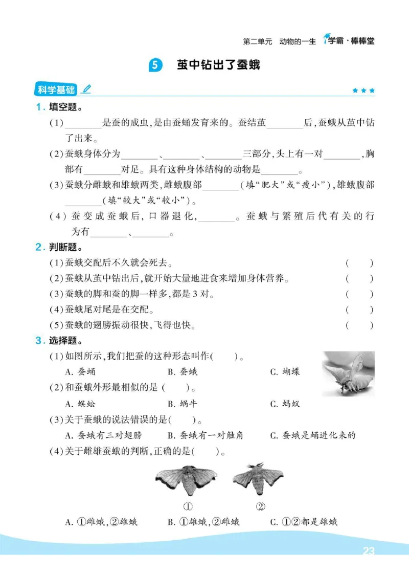 《棒棒堂》22春科学3年级下册（教科版）_三年级上下册资料_小学三年级学习资料-25年更新版_3-10、小学三年级科学下册_教科版_电子册类