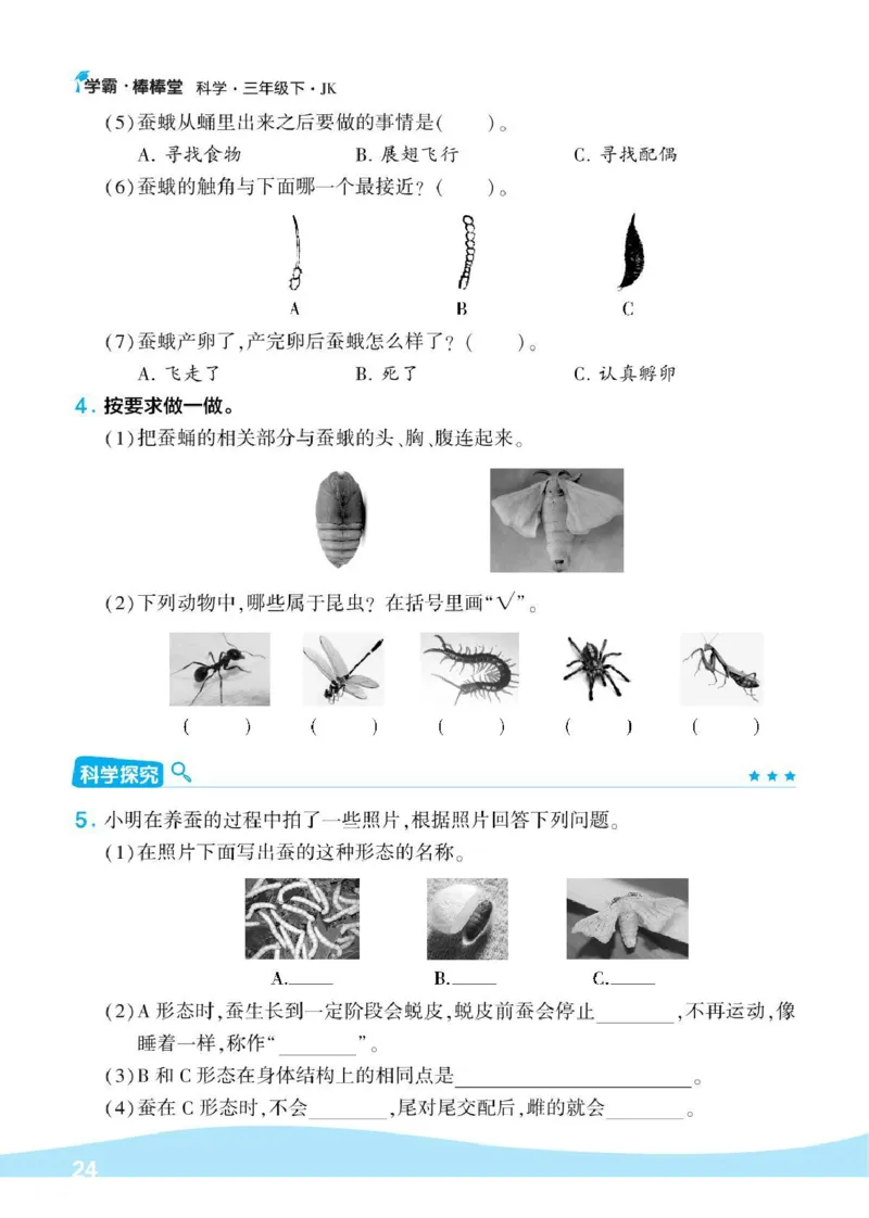 《棒棒堂》22春科学3年级下册（教科版）_三年级上下册资料_小学三年级学习资料-25年更新版_3-10、小学三年级科学下册_教科版_电子册类