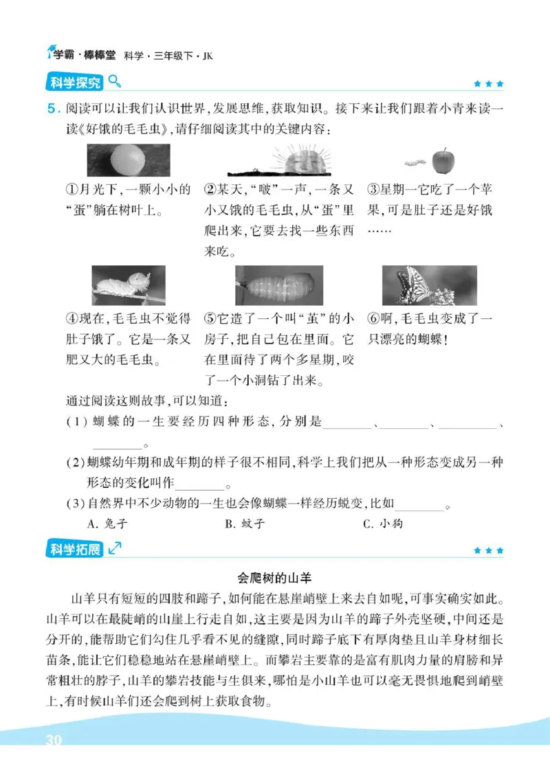 《棒棒堂》22春科学3年级下册（教科版）_三年级上下册资料_小学三年级学习资料-25年更新版_3-10、小学三年级科学下册_教科版_电子册类