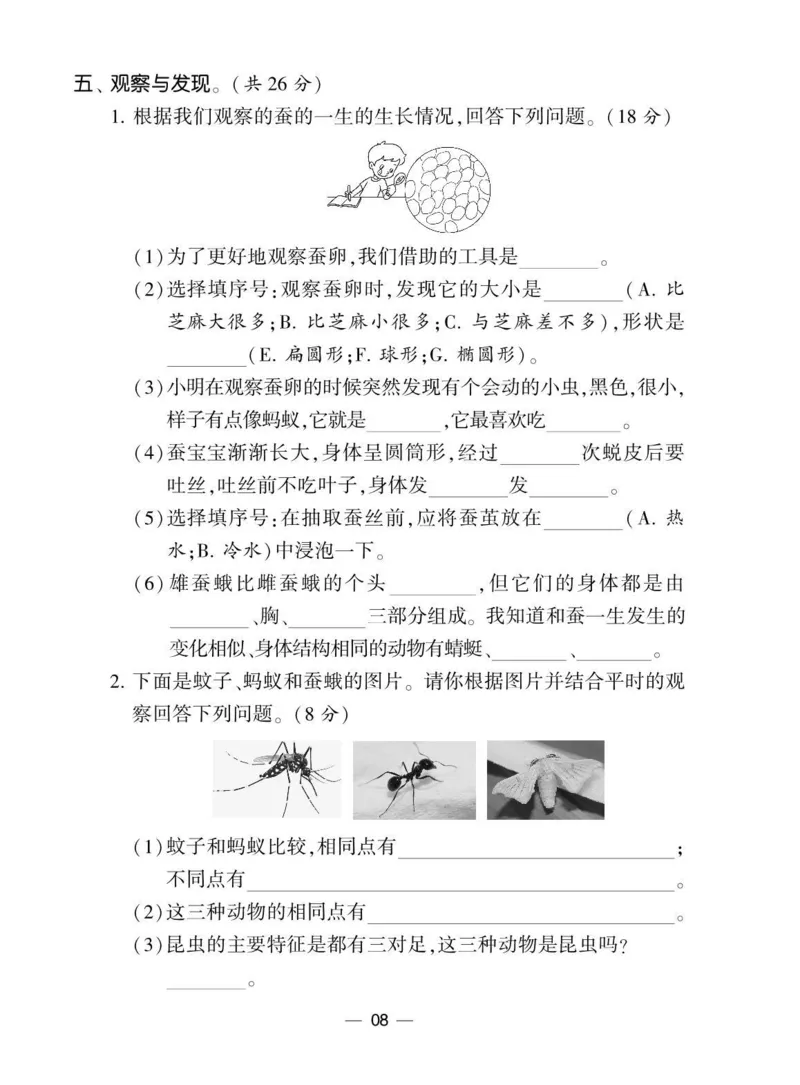 《棒棒堂》22春科学3年级下册（教科版）_三年级上下册资料_小学三年级学习资料-25年更新版_3-10、小学三年级科学下册_教科版_电子册类