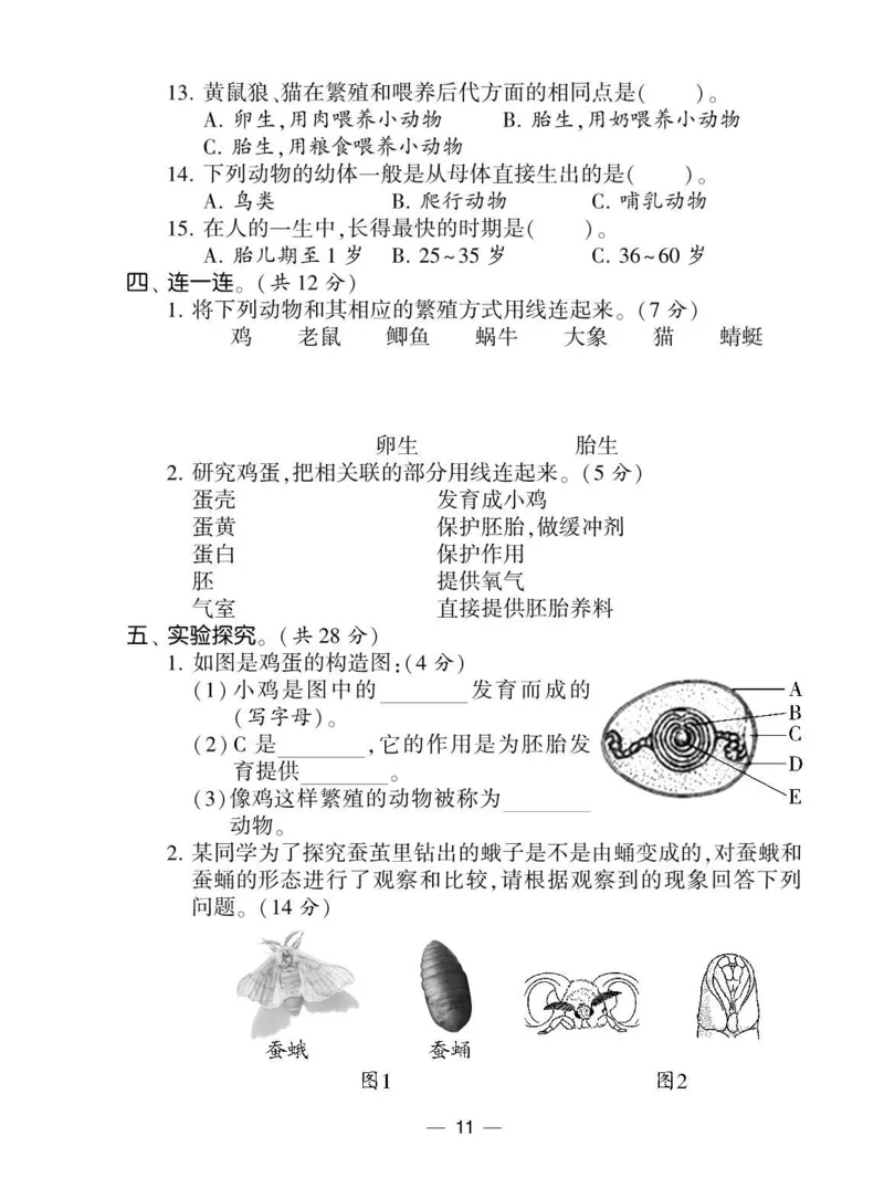 《棒棒堂》22春科学3年级下册（教科版）_三年级上下册资料_小学三年级学习资料-25年更新版_3-10、小学三年级科学下册_教科版_电子册类
