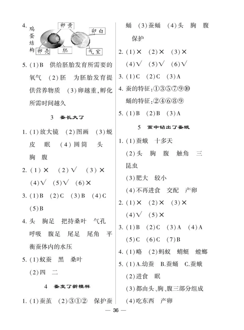 《棒棒堂》22春科学3年级下册（教科版）_三年级上下册资料_小学三年级学习资料-25年更新版_3-10、小学三年级科学下册_教科版_电子册类