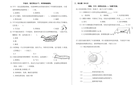 三下期中检测卷_三年级上下册资料_小学三年级学习资料-25年更新版_3-10、小学三年级科学下册_教科版_期中测试卷