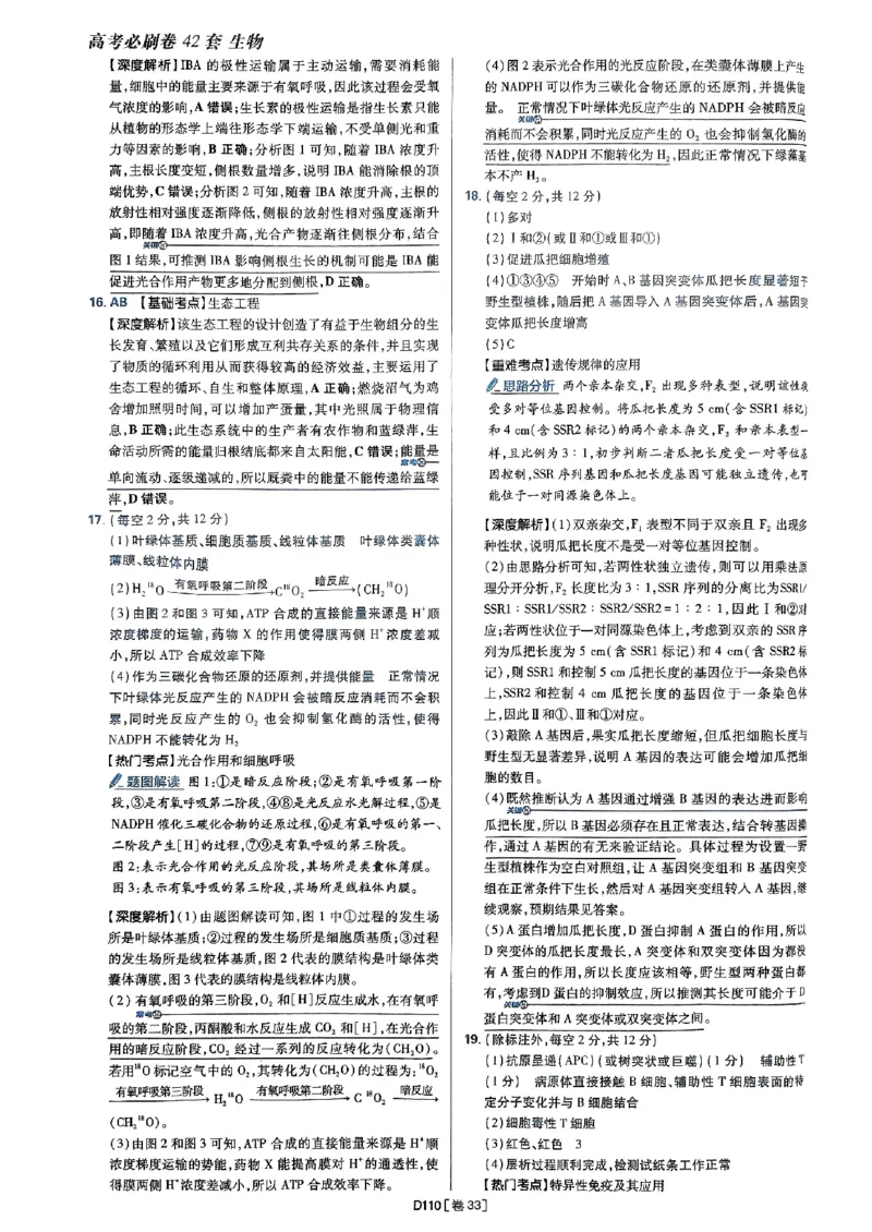 2025高考必刷卷42套生物答案解析册_2025高中教辅（后续还会更新新习题试卷）_《2025高考必刷卷》_生物