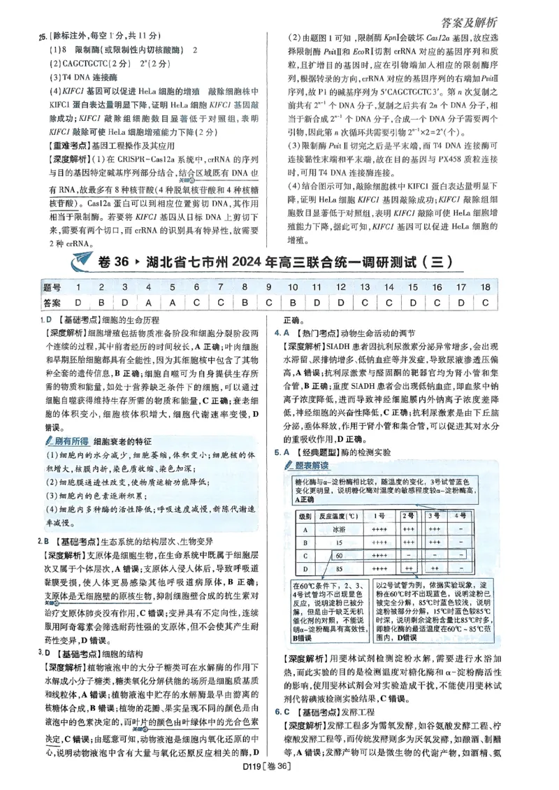 2025高考必刷卷42套生物答案解析册_2025高中教辅（后续还会更新新习题试卷）_《2025高考必刷卷》_生物