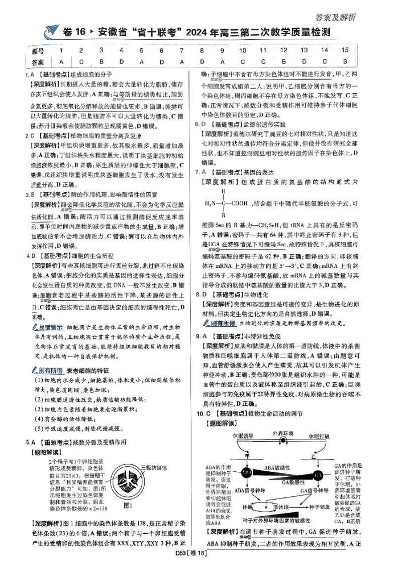 2025高考必刷卷42套生物答案解析册_2025高中教辅（后续还会更新新习题试卷）_《2025高考必刷卷》_生物