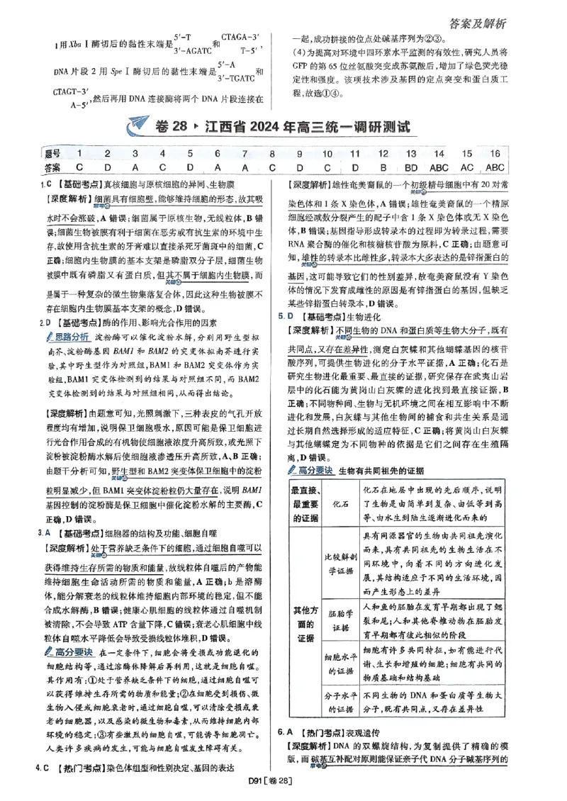 2025高考必刷卷42套生物答案解析册_2025高中教辅（后续还会更新新习题试卷）_《2025高考必刷卷》_生物