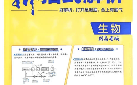 2025高考必刷卷42套生物答案解析册_2025高中教辅（后续还会更新新习题试卷）_《2025高考必刷卷》_生物