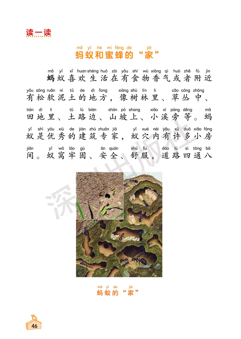 《知识与能力训练&middot;科学》23春科学1年级下册（教科版）_一年级上下册资料_小学一年级学习资料-25年更新版_1-10、小学一年级科学下册_教科版_电子册类