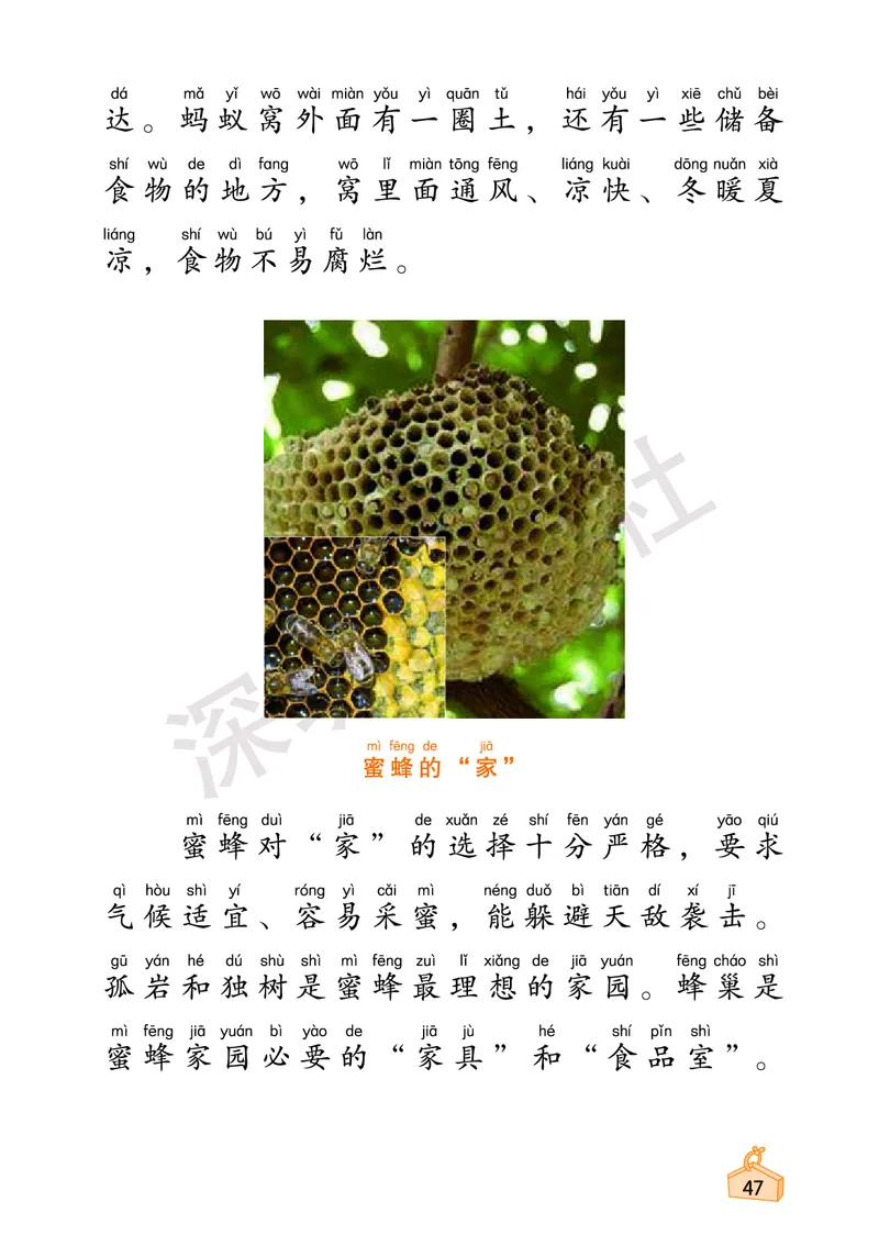 《知识与能力训练&middot;科学》23春科学1年级下册（教科版）_一年级上下册资料_小学一年级学习资料-25年更新版_1-10、小学一年级科学下册_教科版_电子册类