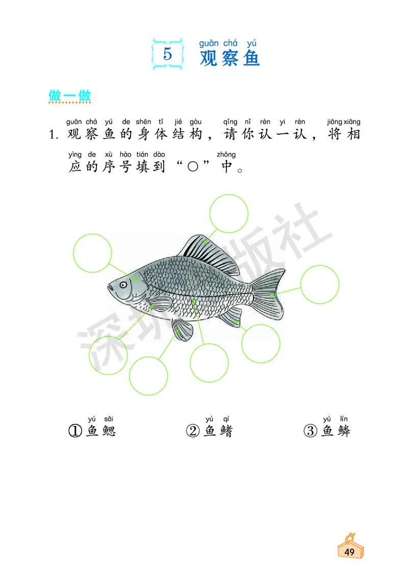 《知识与能力训练&middot;科学》23春科学1年级下册（教科版）_一年级上下册资料_小学一年级学习资料-25年更新版_1-10、小学一年级科学下册_教科版_电子册类
