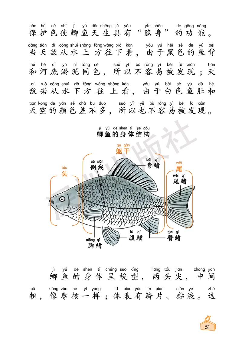 《知识与能力训练&middot;科学》23春科学1年级下册（教科版）_一年级上下册资料_小学一年级学习资料-25年更新版_1-10、小学一年级科学下册_教科版_电子册类