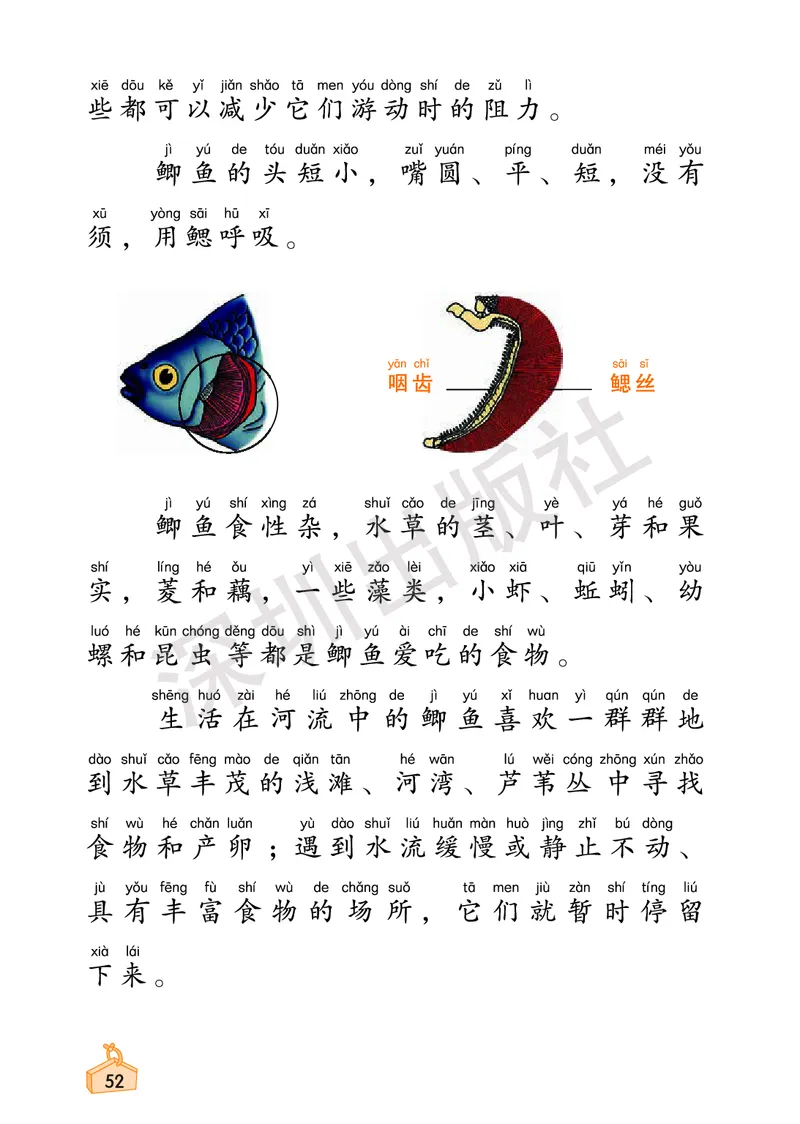 《知识与能力训练&middot;科学》23春科学1年级下册（教科版）_一年级上下册资料_小学一年级学习资料-25年更新版_1-10、小学一年级科学下册_教科版_电子册类