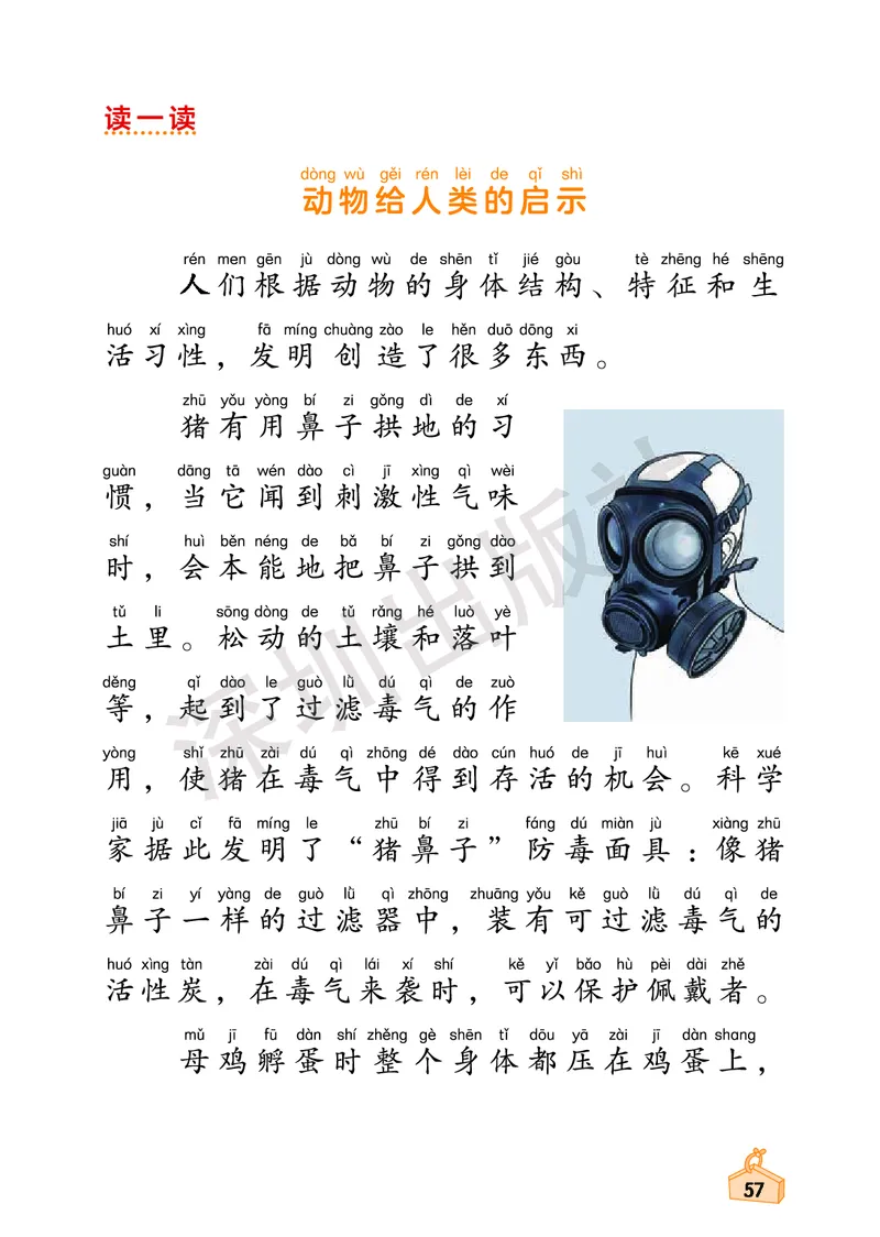 《知识与能力训练&middot;科学》23春科学1年级下册（教科版）_一年级上下册资料_小学一年级学习资料-25年更新版_1-10、小学一年级科学下册_教科版_电子册类