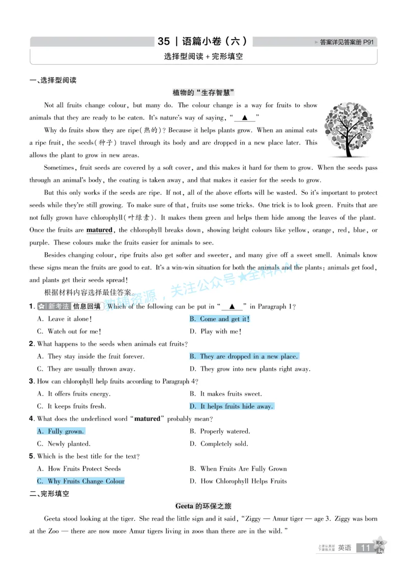 2026《中考英语45套》河南题型小卷答案_2026《中考》数学、英语、物理+化学安徽、河北、河南、山西、辽宁、湖北_2026《中考英语45套》全国地方版_2026《中考英语45套》河南