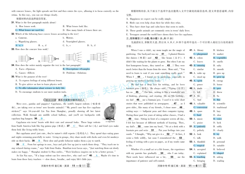 2026《中考英语45套》河南题型小卷答案_2026《中考》数学、英语、物理+化学安徽、河北、河南、山西、辽宁、湖北_2026《中考英语45套》全国地方版_2026《中考英语45套》河南