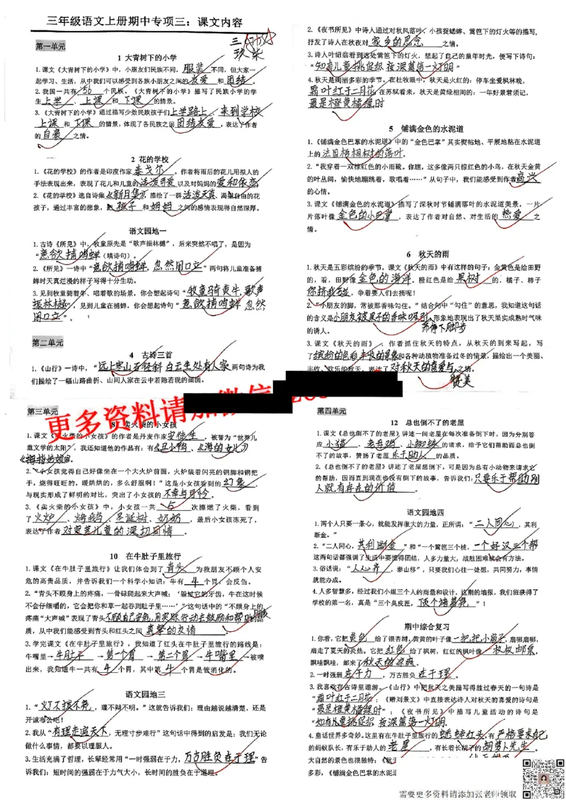 三上语文期中复习五大考点专项训练_三年级上下册资料_三年级上册小红书同款资料_三年级(1)