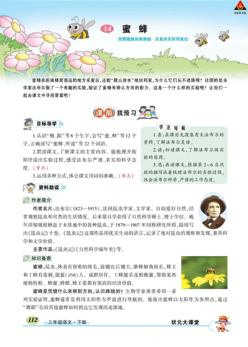 《状元大课堂》语文3年级下册（RJ）_三年级上下册资料_小学三年级学习资料-25年更新版_3-02、小学三年级语文下册_3-2-2、练习题、作业、试题、试卷_电子册类