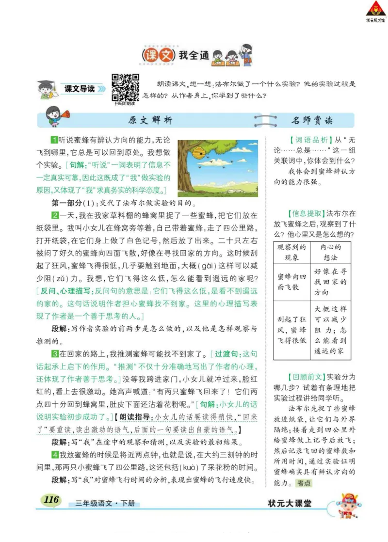 《状元大课堂》语文3年级下册（RJ）_三年级上下册资料_小学三年级学习资料-25年更新版_3-02、小学三年级语文下册_3-2-2、练习题、作业、试题、试卷_电子册类