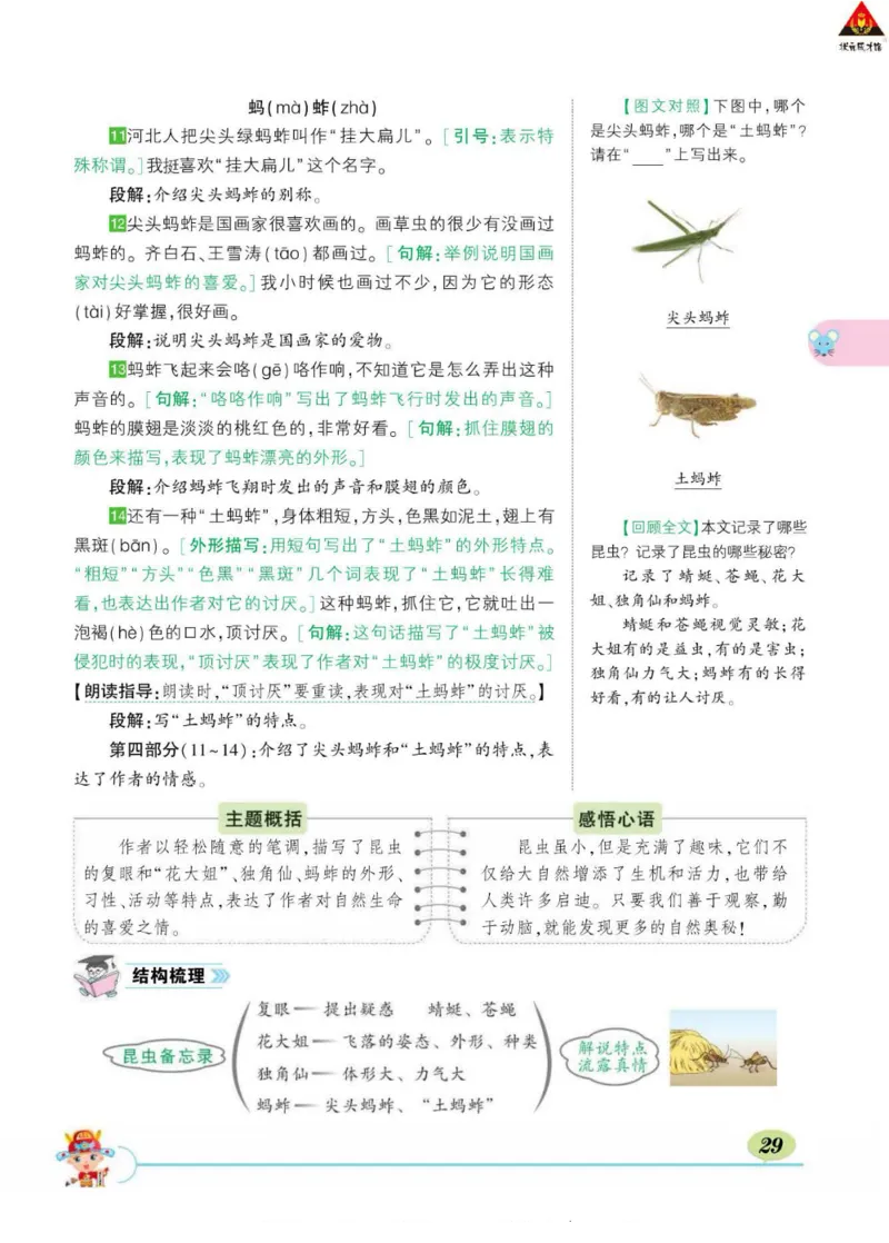 《状元大课堂》语文3年级下册（RJ）_三年级上下册资料_小学三年级学习资料-25年更新版_3-02、小学三年级语文下册_3-2-2、练习题、作业、试题、试卷_电子册类