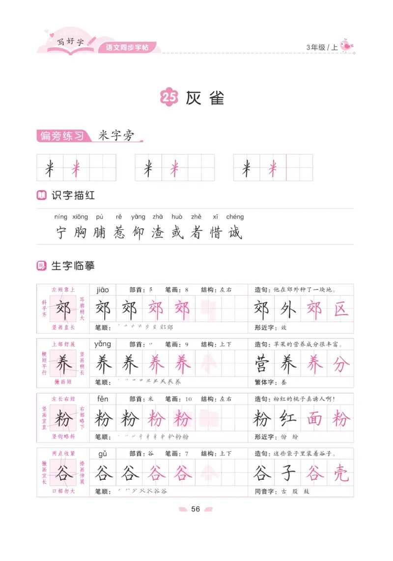三（上）语文默写《字酷天下》写好字语文同步字帖_三年级上下册资料_小学三年级学习资料-25年更新版_3-01、小学三年级语文上册_3-1-5、字贴、书写、晨读_语文默写合集
