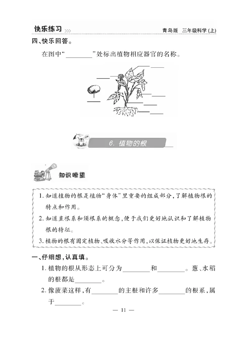三（上）科学-青岛版快乐练习_三年级上下册资料_小学三年级学习资料-25年更新版_3-09、小学三年级科学上册_青岛版