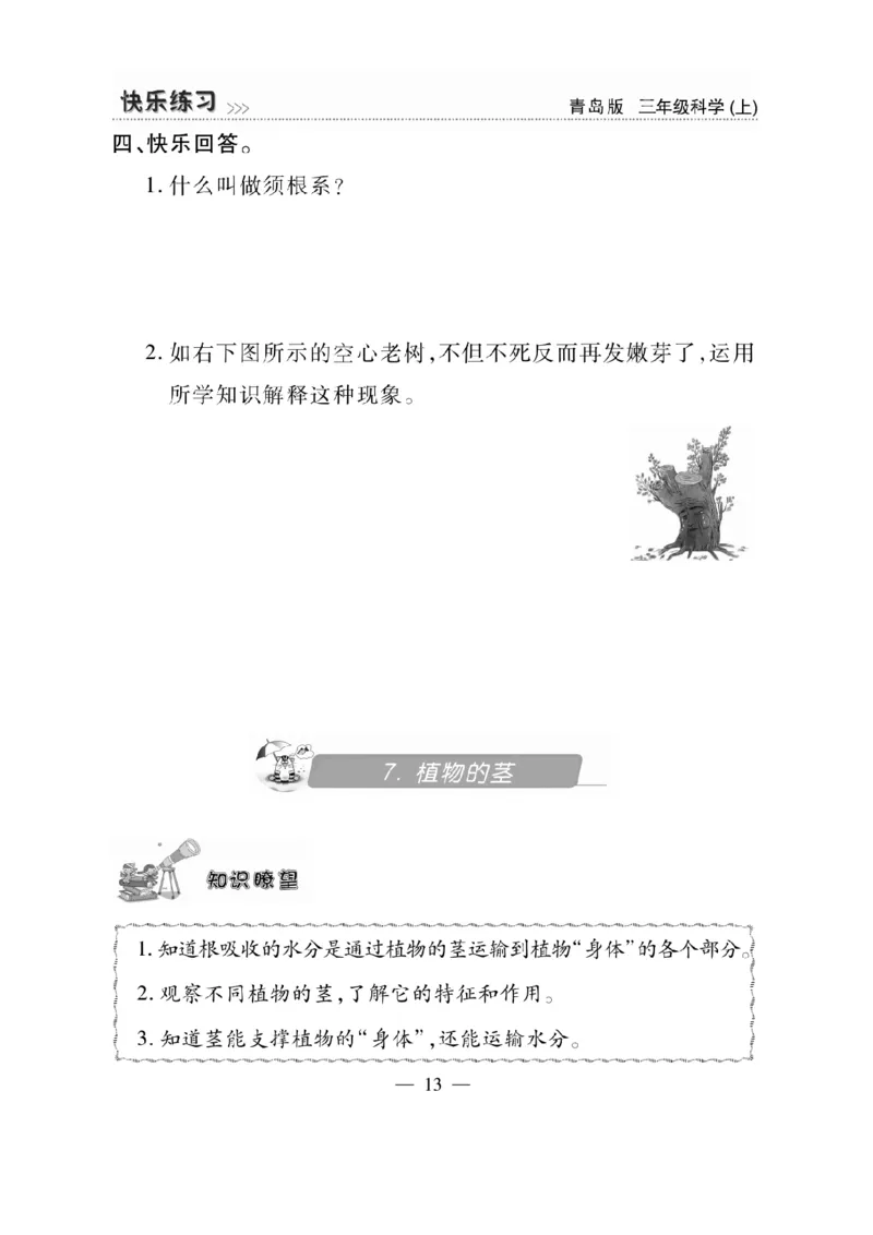 三（上）科学-青岛版快乐练习_三年级上下册资料_小学三年级学习资料-25年更新版_3-09、小学三年级科学上册_青岛版