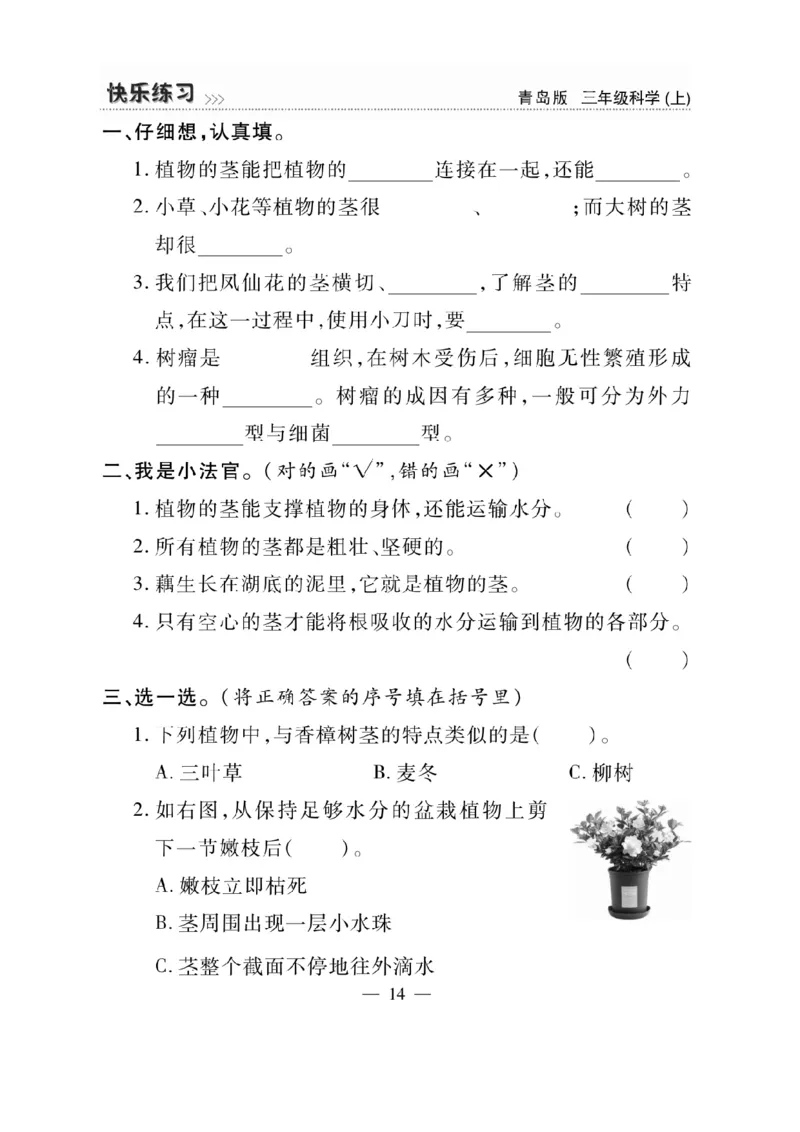 三（上）科学-青岛版快乐练习_三年级上下册资料_小学三年级学习资料-25年更新版_3-09、小学三年级科学上册_青岛版