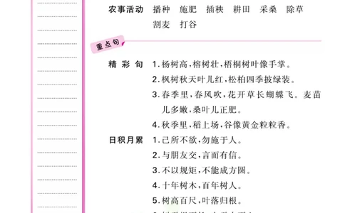 二年级上册语文部编版考点过关_二年级上下册资料_小学二年级学习资料-25年更新版_2-01、小学二年级语文上册_2-1-1、复习、知识点、归纳汇总