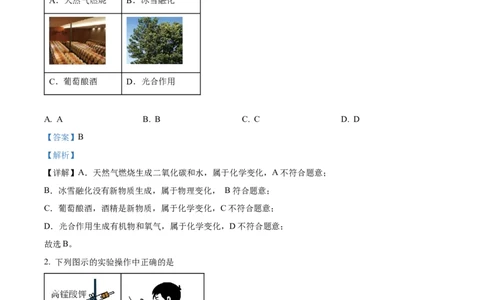 广州市真光中学2024-2025学年九年级上学期9月综合训练化学试题（解析版）_广州九上月考+期中+期末+一模二模+中考真题_九上月考_初三化学月考卷与答案