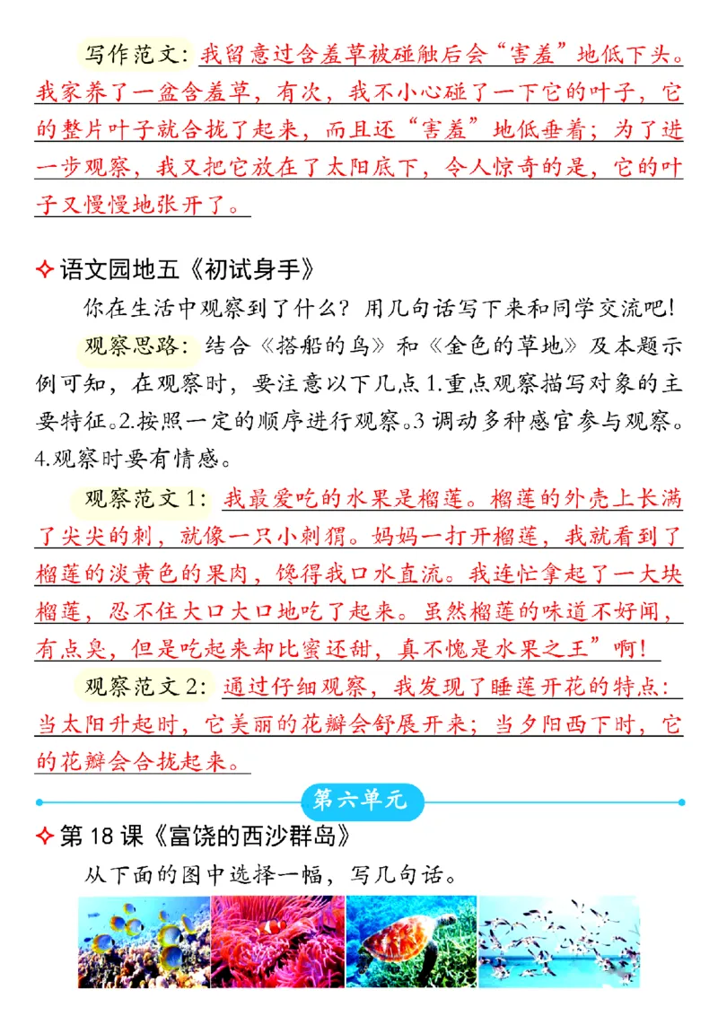 三年级上册语文课后小练笔2(1)(1)_三年级上下册资料_三年级上册小红书同款资料_语文