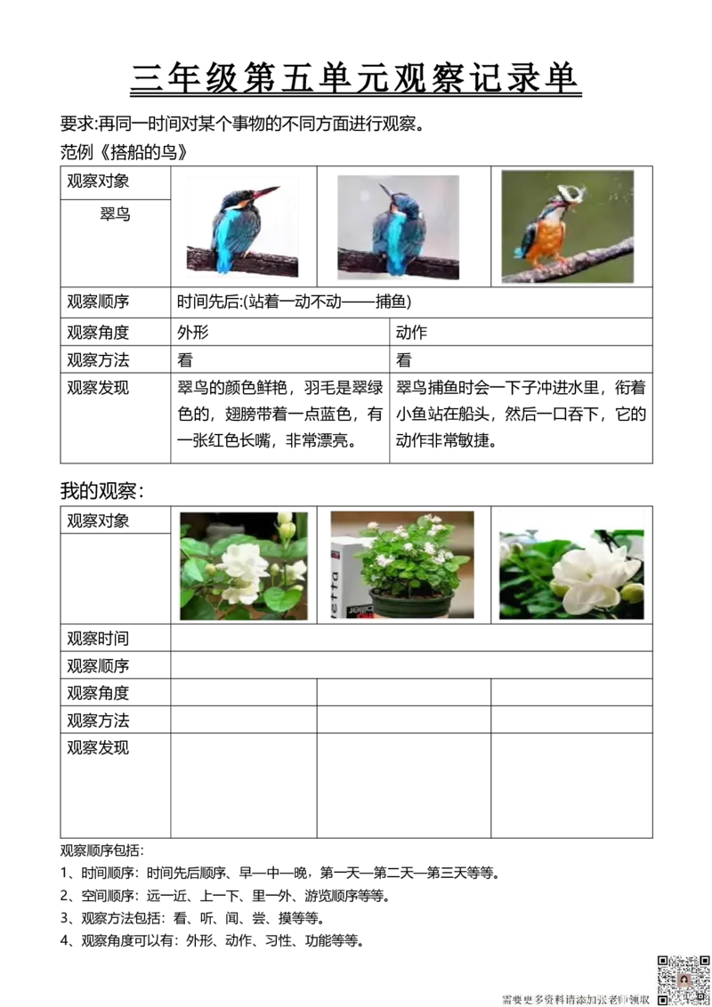 三年级第五单元观察记录单(1)_三年级上下册资料_三年级上册小红书同款资料_三年级(1)