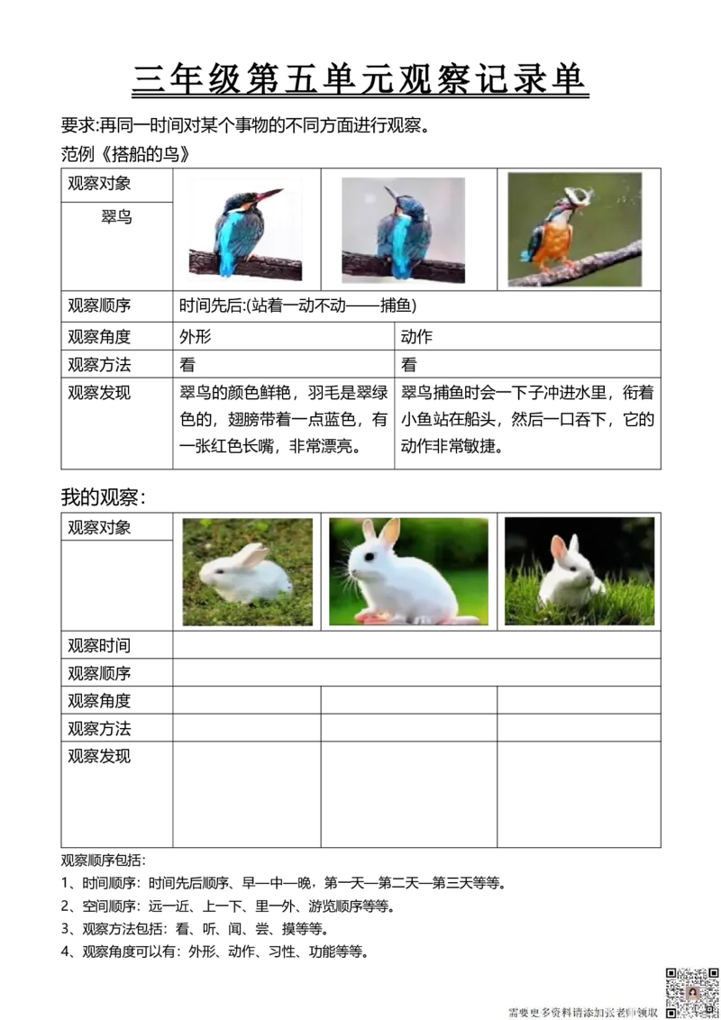 三年级第五单元观察记录单(1)_三年级上下册资料_三年级上册小红书同款资料_三年级(1)