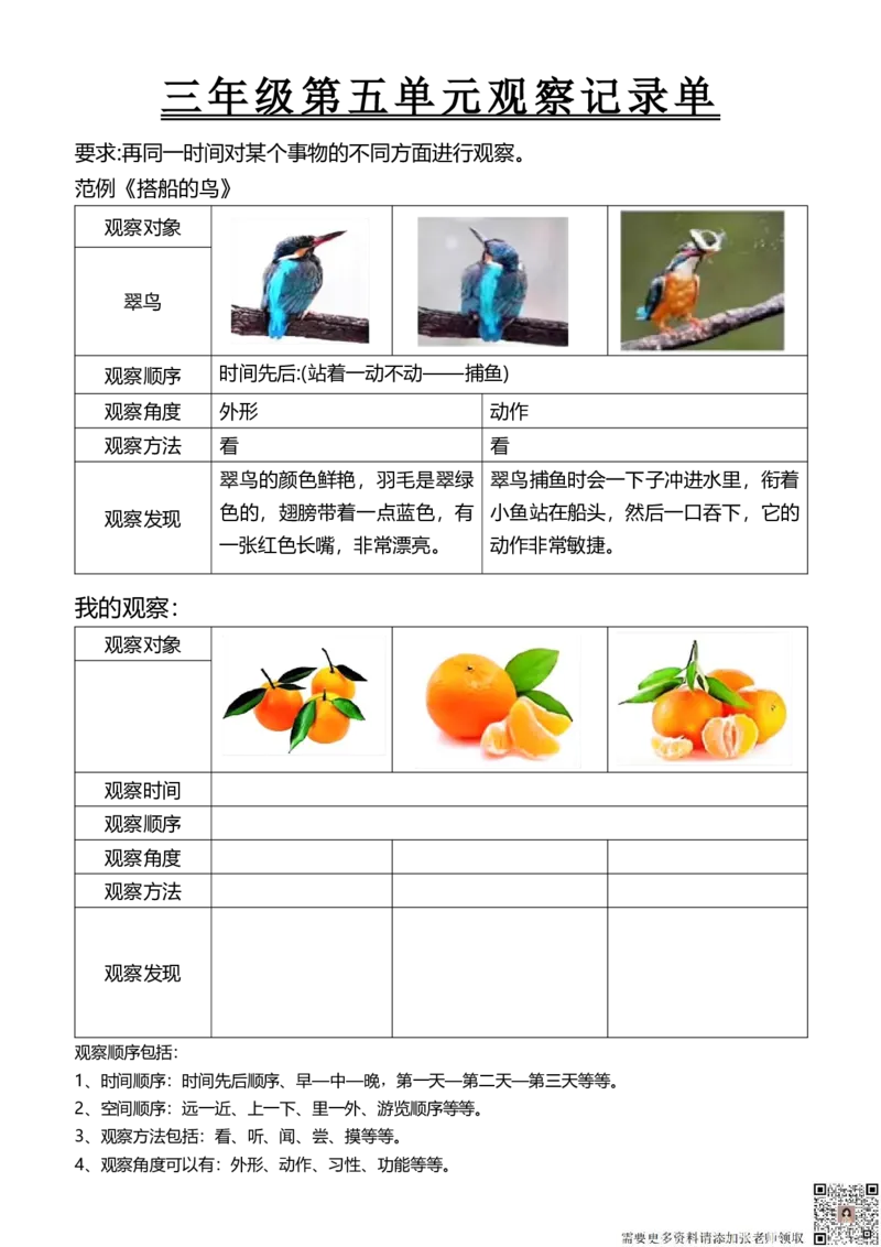 三年级第五单元观察记录单(1)_三年级上下册资料_三年级上册小红书同款资料_三年级(1)