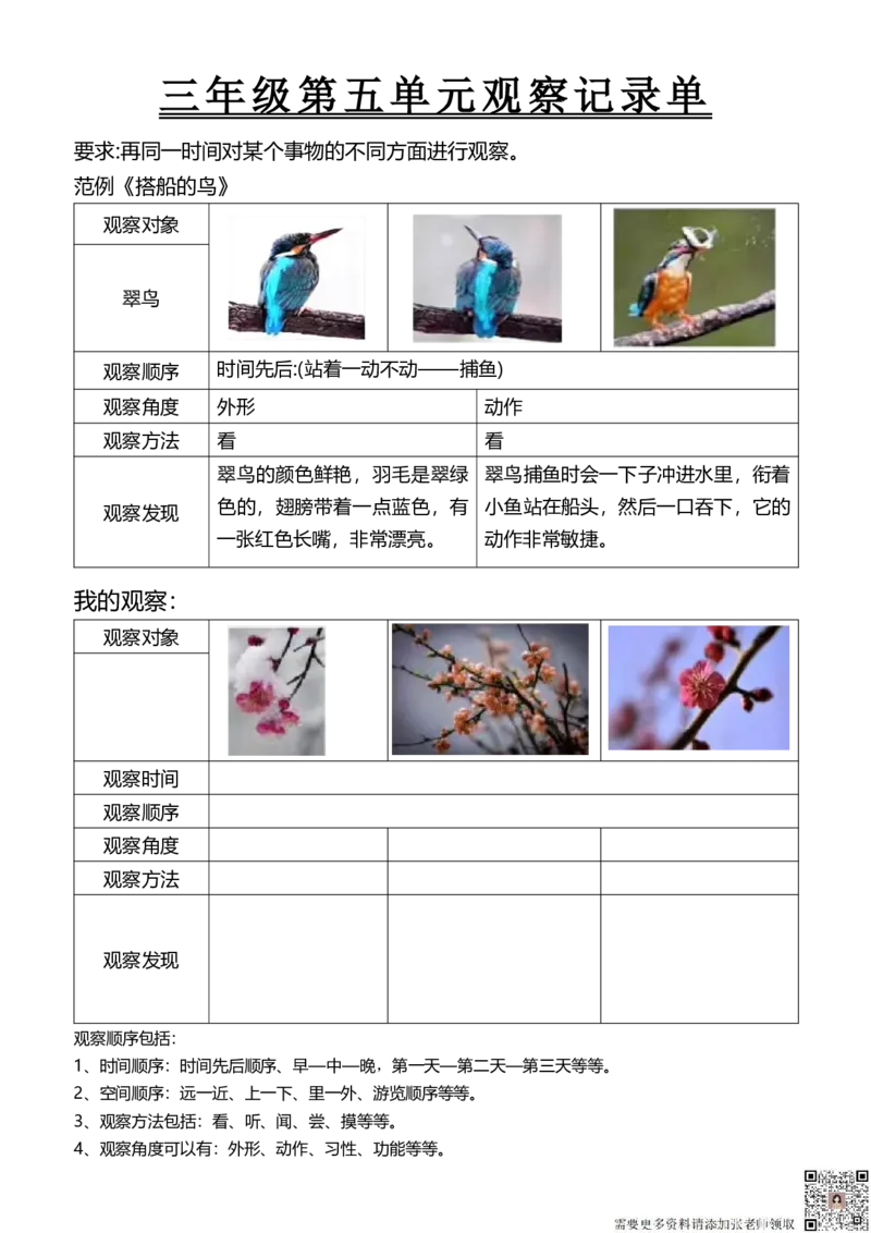 三年级第五单元观察记录单(1)_三年级上下册资料_三年级上册小红书同款资料_三年级(1)