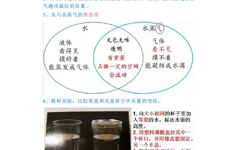 三年级上册复习资料_三年级上下册资料_小学三年级学习资料-25年更新版_3-09、小学三年级科学上册_教科版_期末测试卷