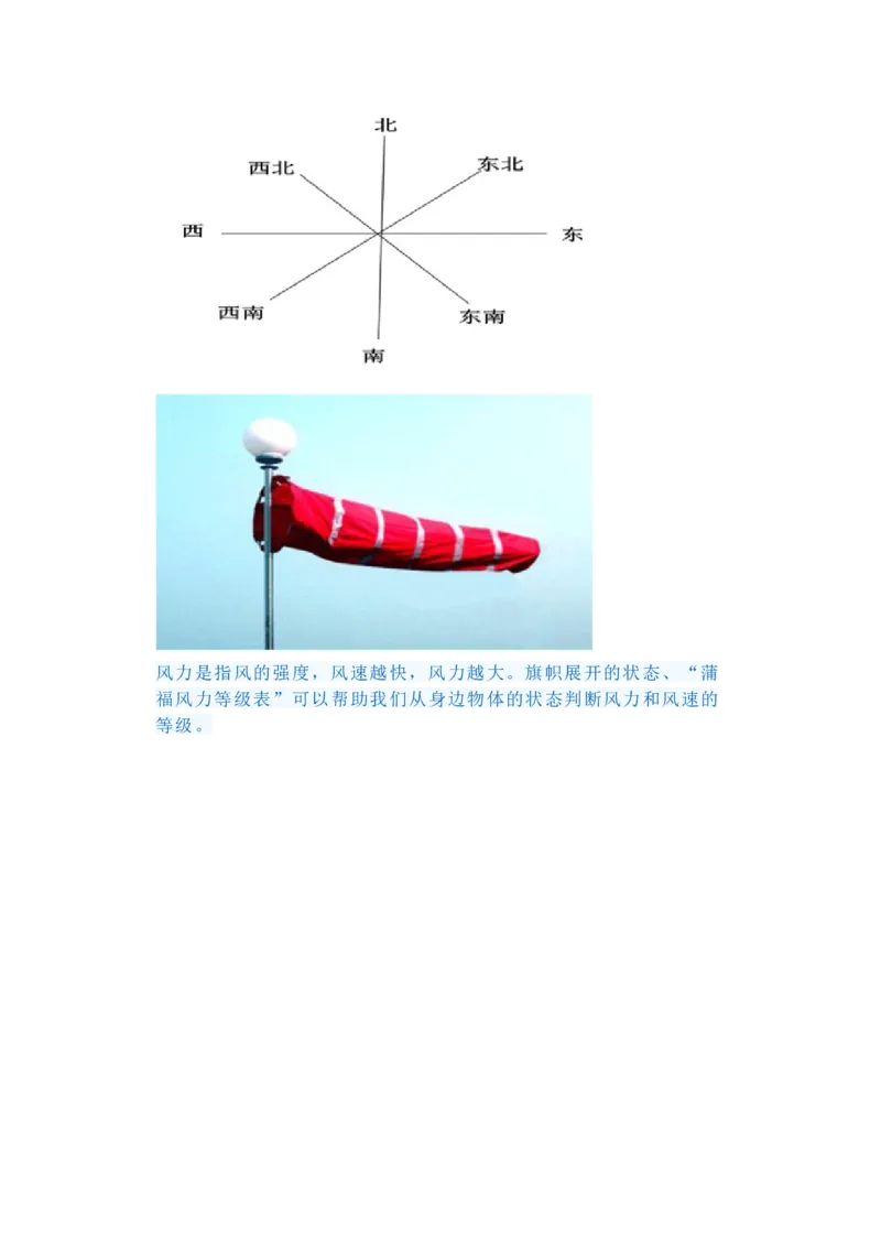 三年级上册复习资料_三年级上下册资料_小学三年级学习资料-25年更新版_3-09、小学三年级科学上册_教科版_期末测试卷