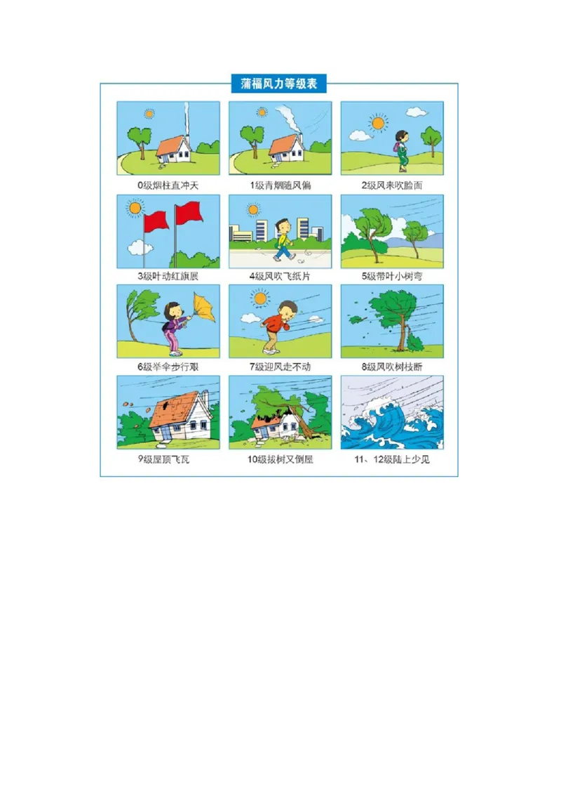 三年级上册复习资料_三年级上下册资料_小学三年级学习资料-25年更新版_3-09、小学三年级科学上册_教科版_期末测试卷