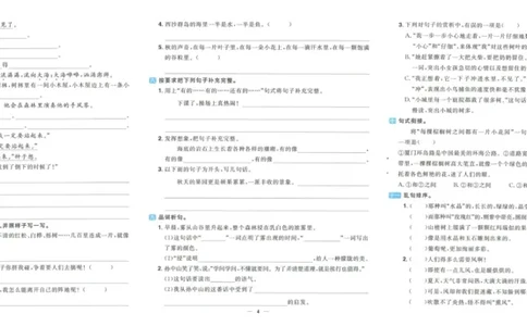 《阳光同学期末复习卷》（3上）_25秋小学语数英习题试卷_语文_语文阳光同学期末复习卷